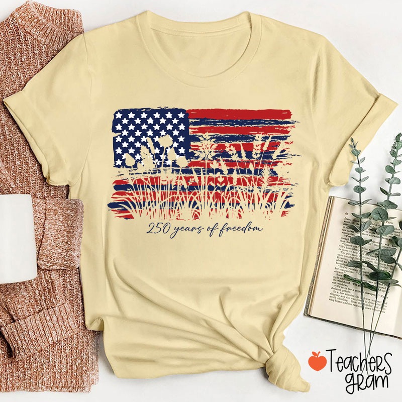 Land Of The Free Home Of The Brave Teacher T-Shirt