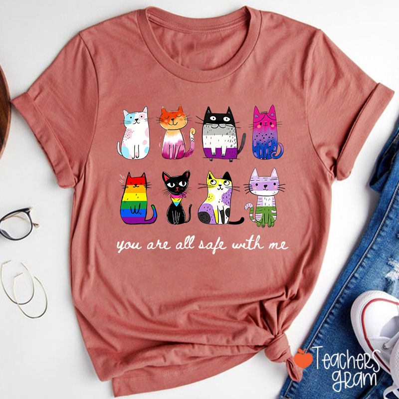 Rainbow Color Cats You Are All Safe With Me Teacher T-Shirt