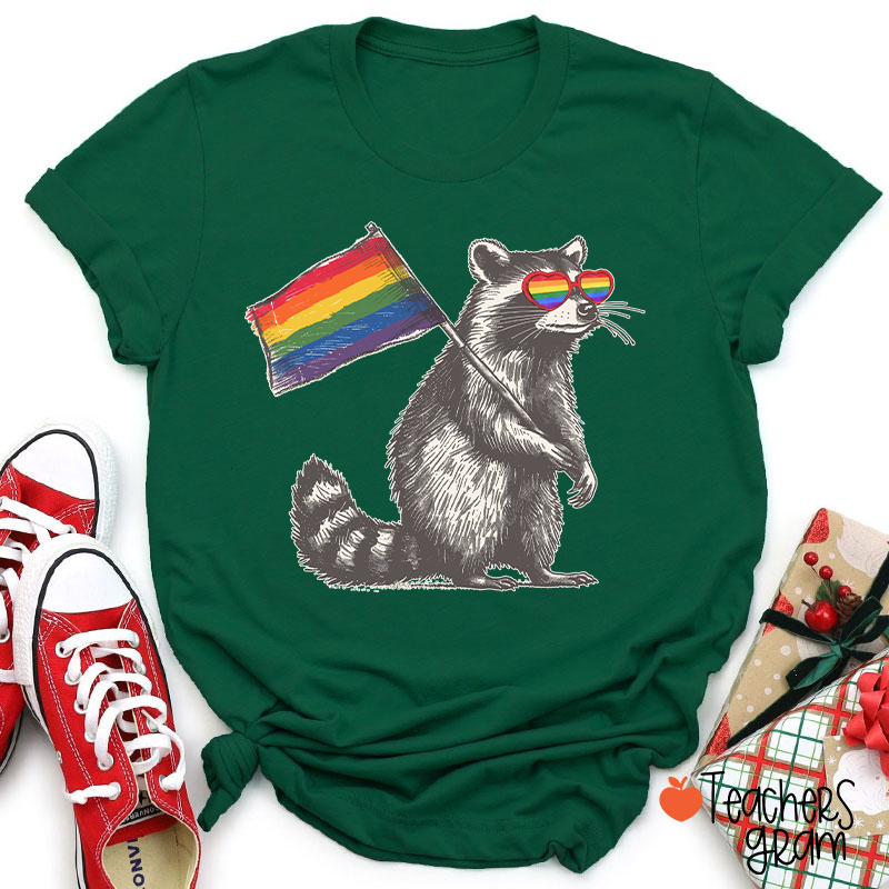 Funny Raccoon Rainbow Flag Pride Teacher T-Shirt