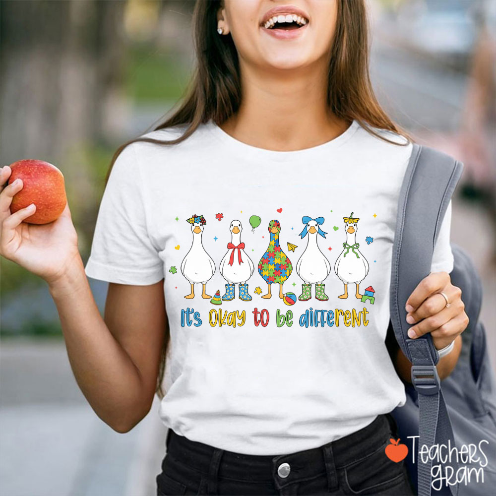 It's Ok To Be Different Silly Goose Teacher T-Shirt