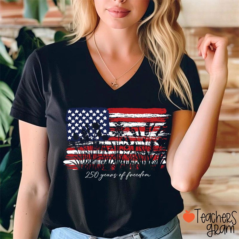 Land Of The Free Home Of The Brave Teacher Female V-Neck T-Shirt