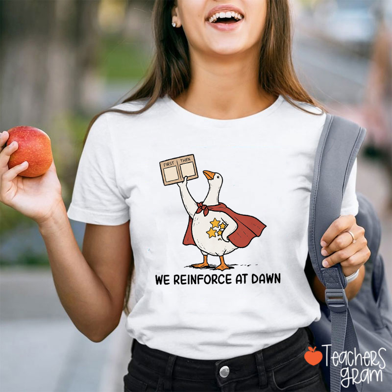 We Reinforce At Dawn Silly Goose Cape Star Chart Teacher T-Shirt