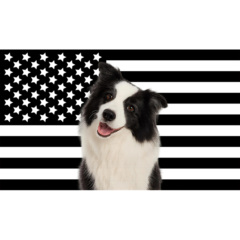 Personalized Image American Flag Teacher Classroom Tapestry