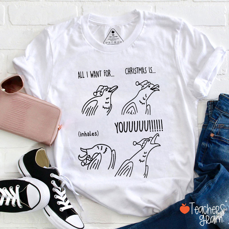 All I Want For Christmas Is Youuuuu Teacher T-Shirt