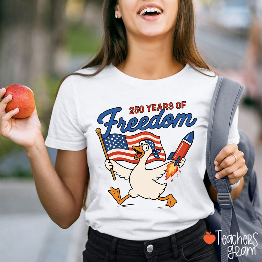 250 Years Freedom Silly Goose Teacher T-Shirt