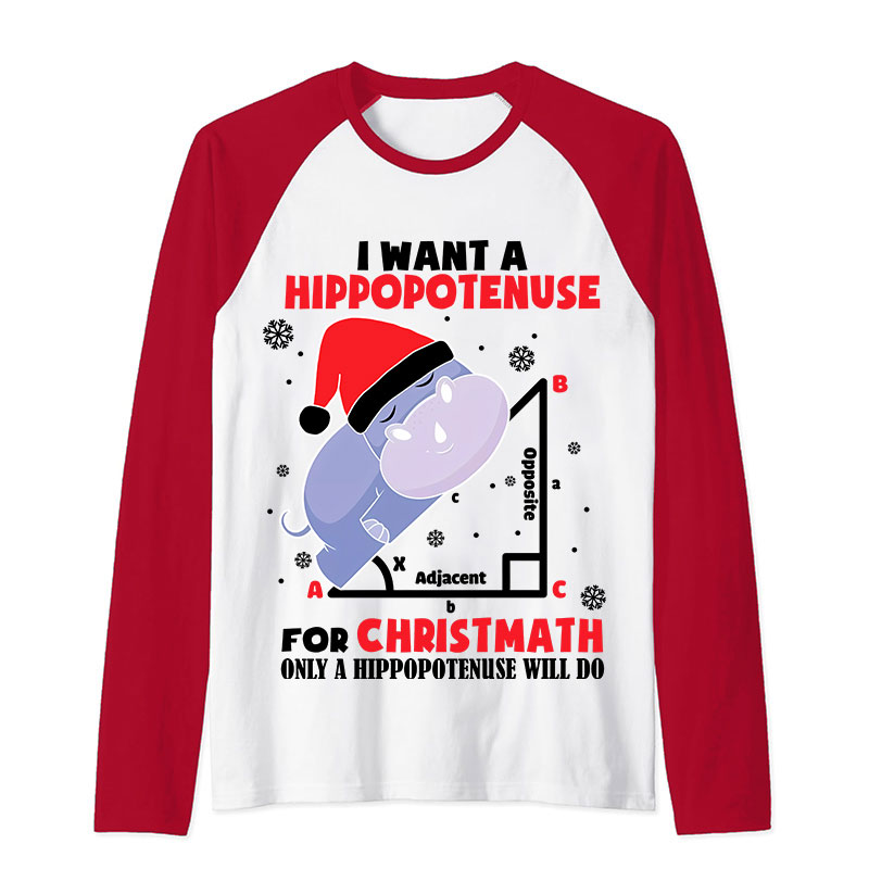 I Want A Hippopotenuse For Christmas Teacher Raglan Long Sleeve T-Shirt
