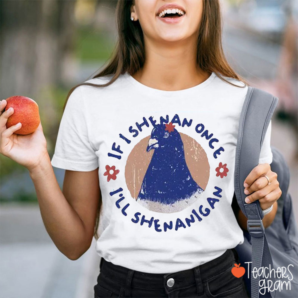 Silly Pigeon If I Shenan Once I'll Shenanigan Teacher T-Shirt