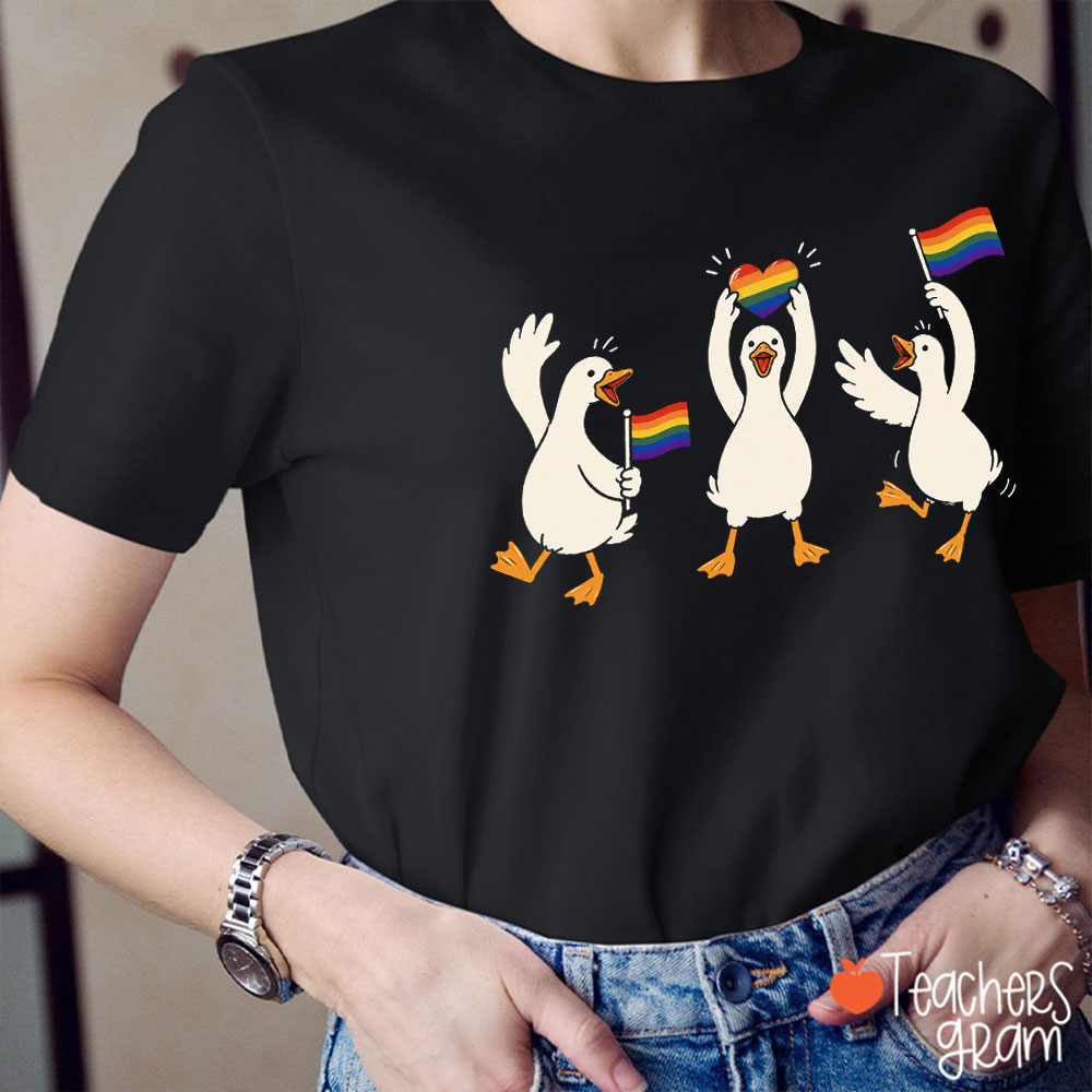 Rainbow Silly Goose Teacher T-Shirt