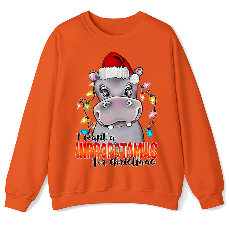 I Want A Hippopotamus For Christmas Teacher Sweatshirt