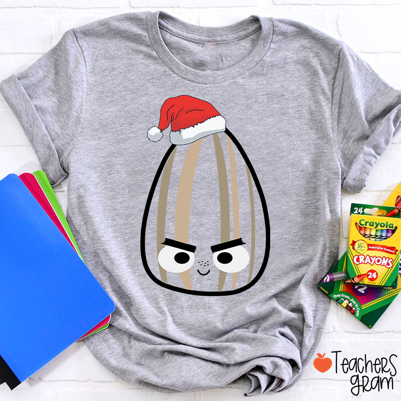 Personalized Book Character With Santa Hat Teacher T-Shirt