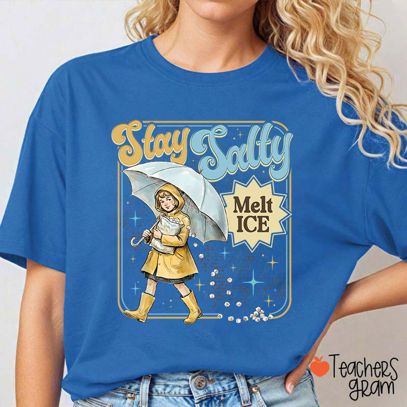 Stay Salty Melt Ice Subtle Anti Ice Teacher T-Shirt
