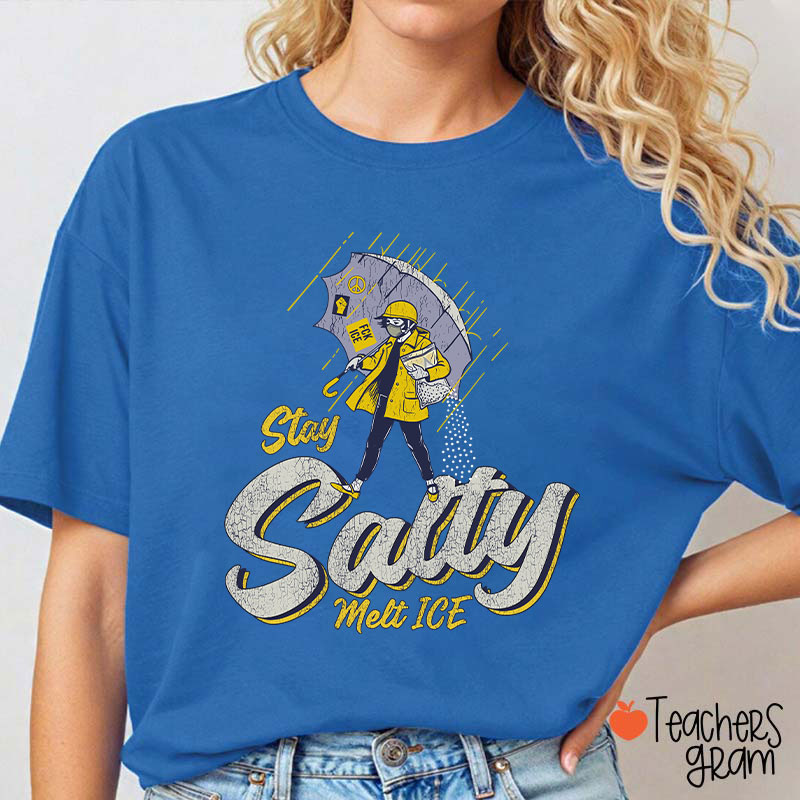 Stay Salty Melt Ice Social Justice Teacher T-Shirt