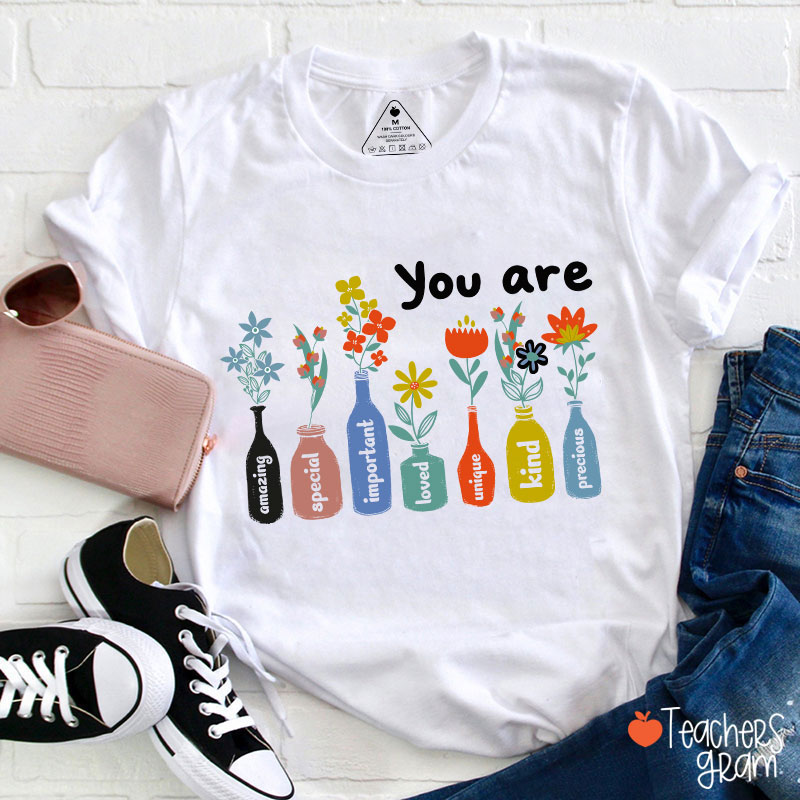 You Are Important Motivational Teacher T-Shirt