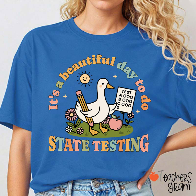 It's A Beautiful Day To Do State Testing Teacher T-Shirt