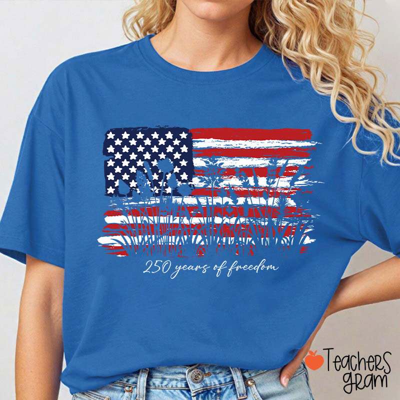Land Of The Free Home Of The Brave Teacher T-Shirt