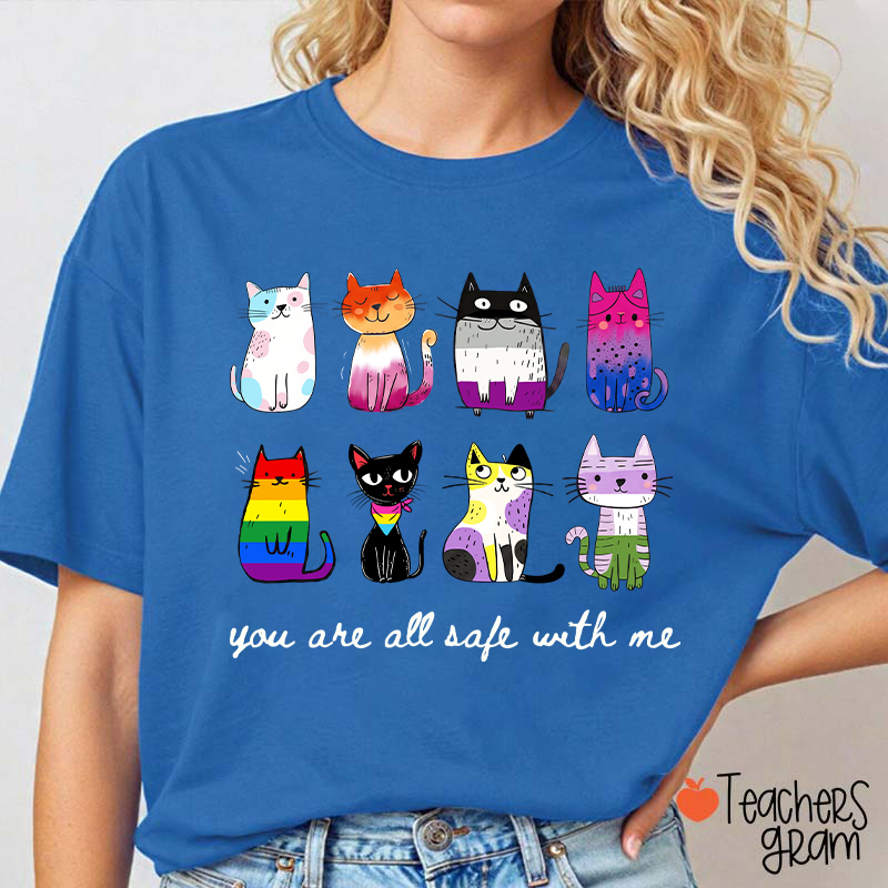 Rainbow Color Cats You Are All Safe With Me Teacher T-Shirt