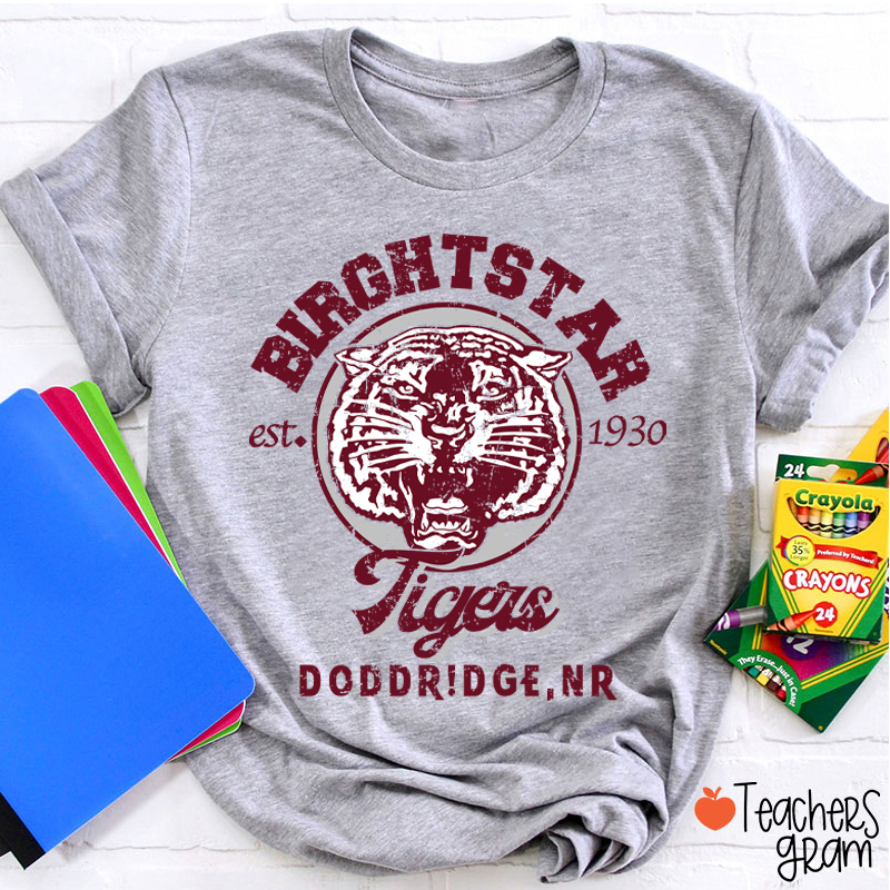 Personalized Mascot Vintage School Spirit Teacher T-Shirt