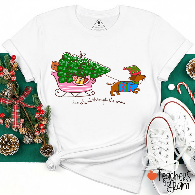 Dachshund Through The Snow Teacher T-Shirt