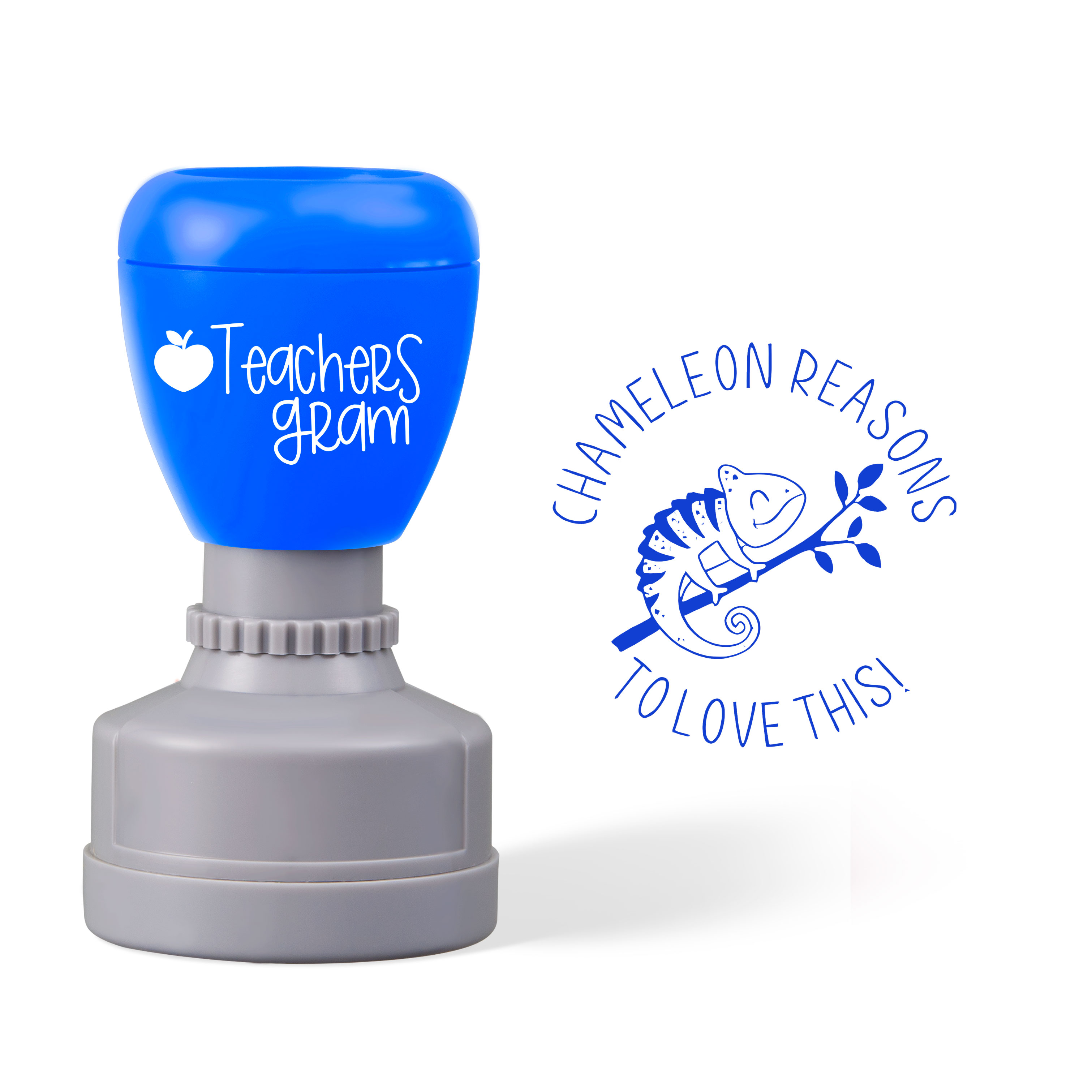 Chameleon Reasons To Love This Teacher Stamp