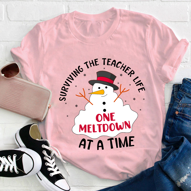Surviving The Teacher At A Time Teacher T-Shirt