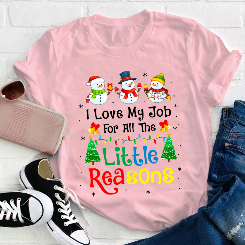 I Love My Job For All The Little Reasons Teacher T-Shirt