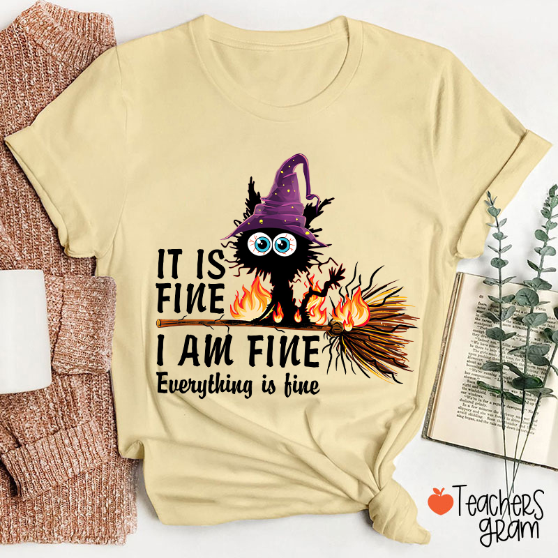 It Is Fine I Am Fine Everything Is Fine Halloween Broom Cat Teacher T-Shirt
