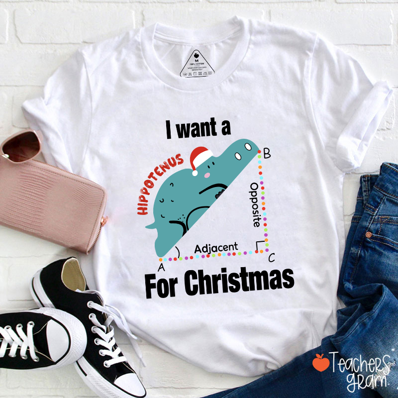 I Want A Hippotenus For Christmas Teacher T-Shirt