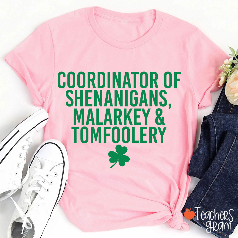 Coordinator Of Shenanigans Teacher T-Shirt