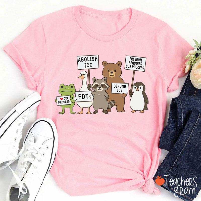 Abolish Ice Goose Comfort Colors Teacher T-Shirt