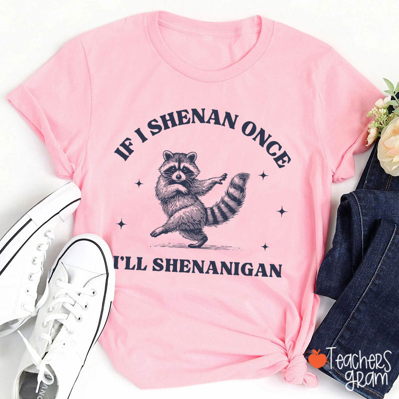 If I Shenan Once I'll Shenanigan Raccoon Teacher T-Shirt