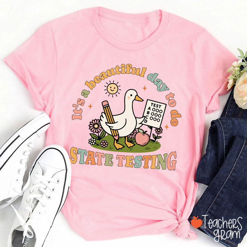 It's A Beautiful Day To Do State Testing Teacher T-Shirt