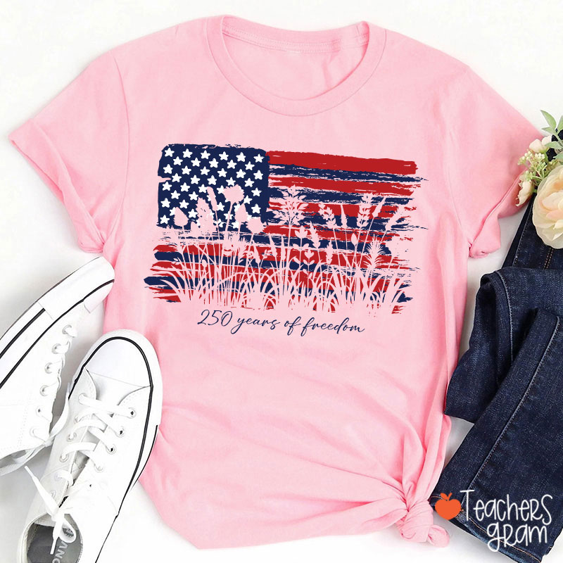 Land Of The Free Home Of The Brave Teacher T-Shirt