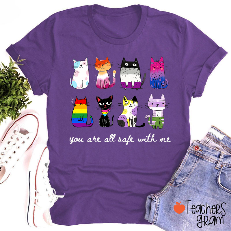 Rainbow Color Cats You Are All Safe With Me Teacher T-Shirt