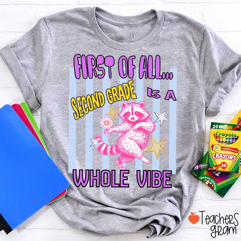Personalized Grade Pink Raccoon Whole Vibe Teacher T-Shirt