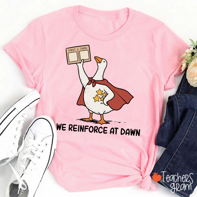 We Reinforce At Dawn Silly Goose Cape Star Chart Teacher T-Shirt