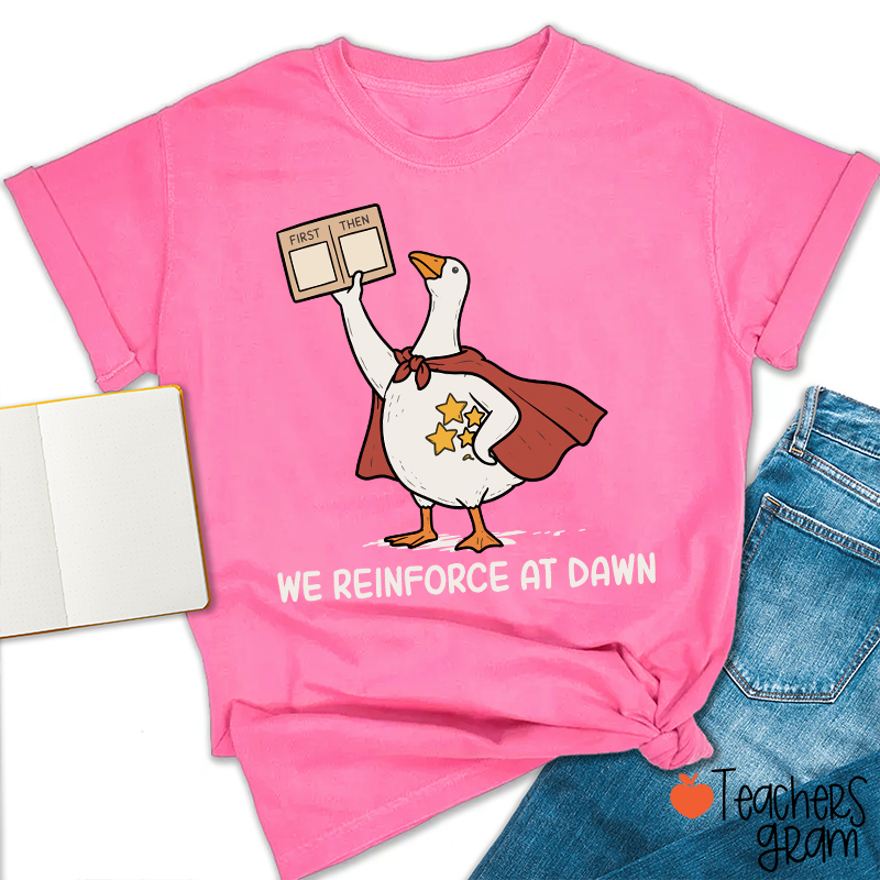 We Reinforce At Dawn Silly Goose Cape Star Chart Teacher T-Shirt