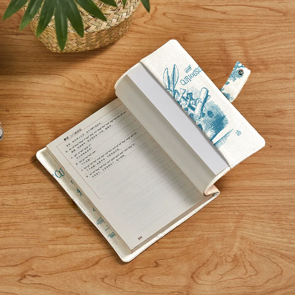 Alice In Wonderland Teacher Book Cover
