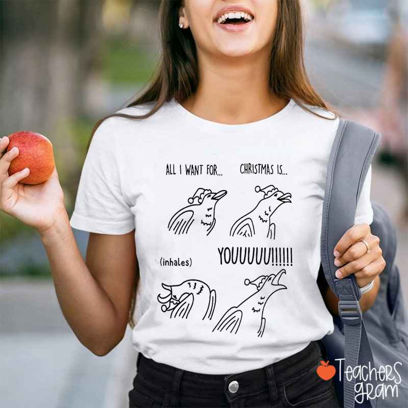 All I Want For Christmas Is Youuuuu Teacher T-Shirt