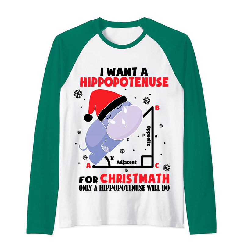 I Want A Hippopotenuse For Christmas Teacher Raglan Long Sleeve T-Shirt