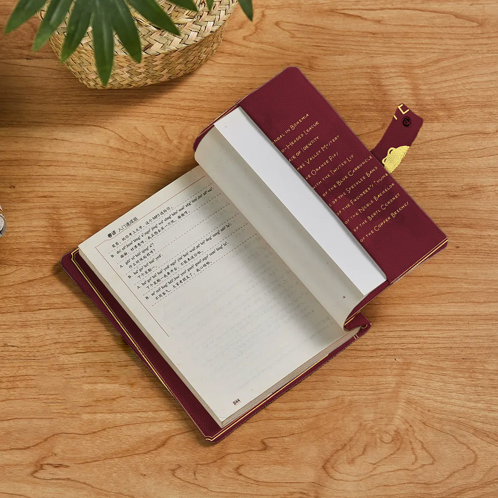 Sherlock Holmes Teacher Book Cover