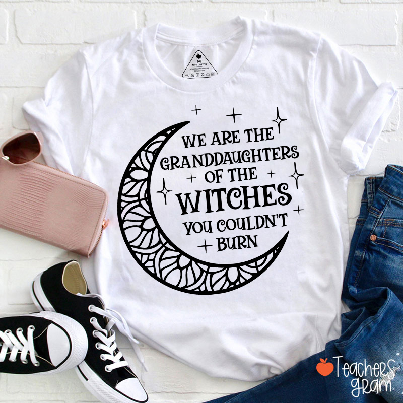 The Witches You Couldn't Burn Teacher T-Shirt
