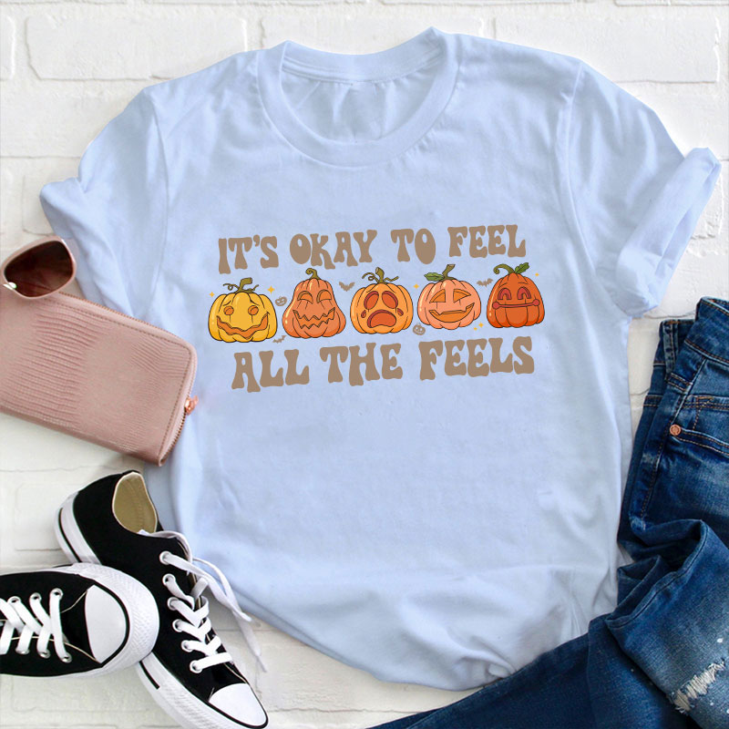 It's Okay To Feel All The Feels Teacher T-Shirt
