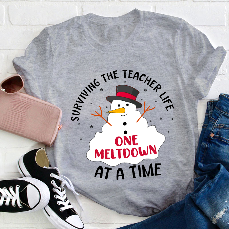 Surviving The Teacher At A Time Teacher T-Shirt