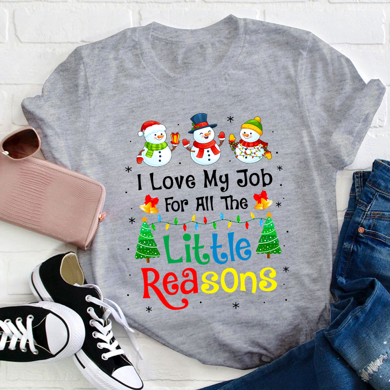 I Love My Job For All The Little Reasons Teacher T-Shirt