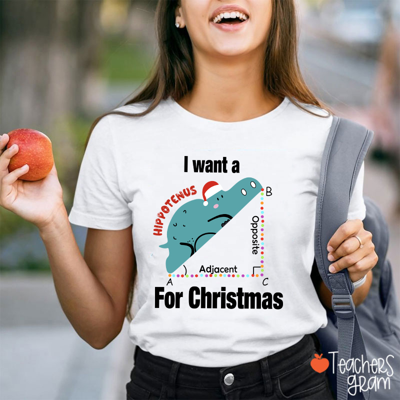 I Want A Hippotenus For Christmas Teacher T-Shirt