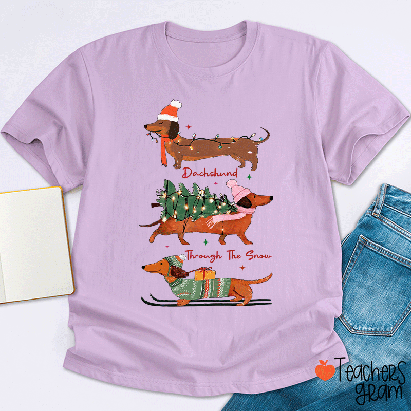 Dachshund Through The Snow Teacher T-Shirt