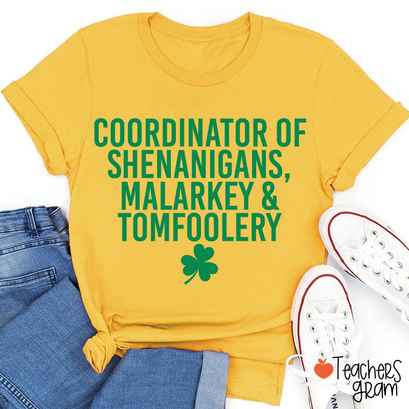 Coordinator Of Shenanigans Teacher T-Shirt