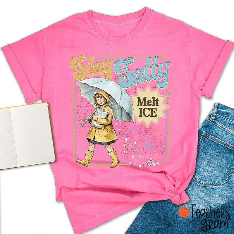Stay Salty Melt Ice Subtle Anti Ice Teacher T-Shirt