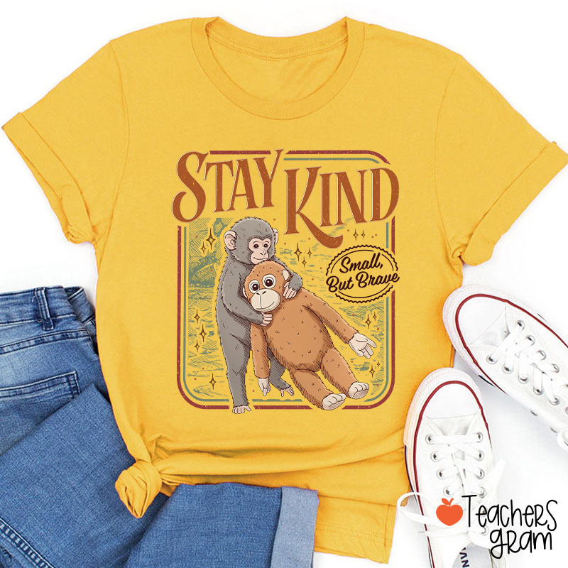 Stay Kind Small But Brave Teacher T-Shirt