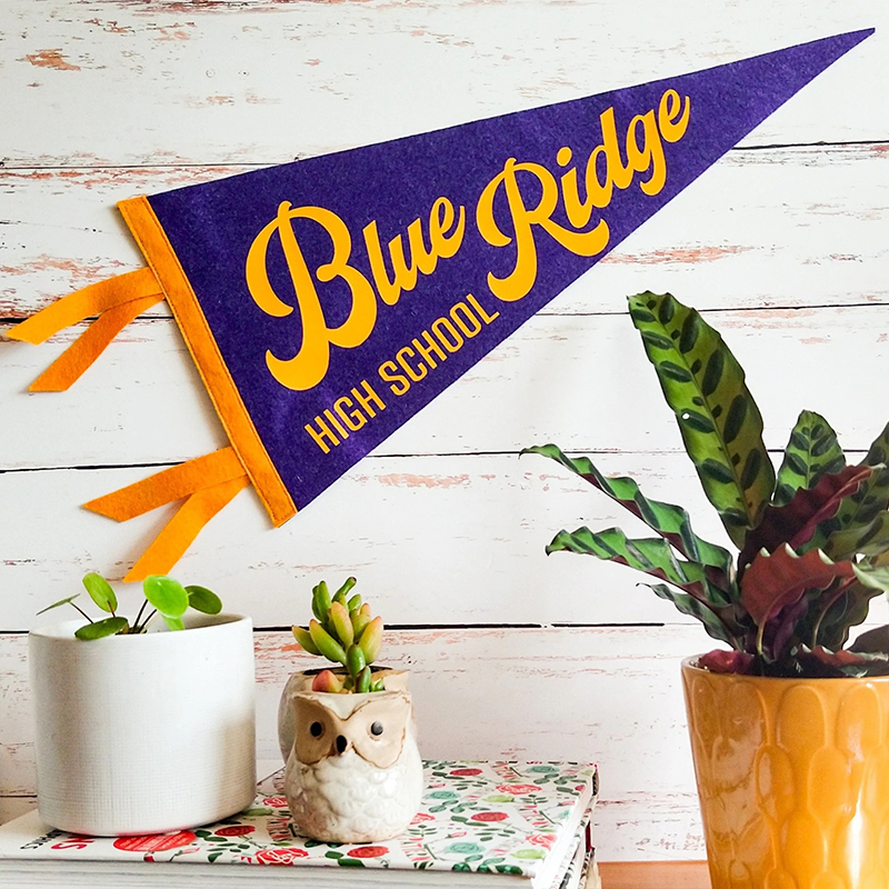 Personalized School Spirit Felt Pennant